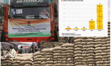 Patchy News about Indian Wheat Export Ban created perplexity.