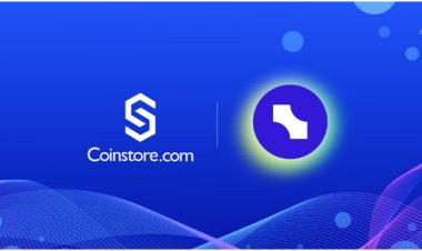 ChangeX (CHANGE): A Crypto Bank That Meets Centralized and Decentralized Finance