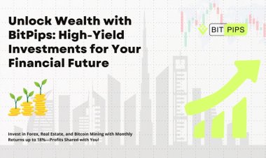 BitPips Launches High-Return Investment Plans for Everyone
