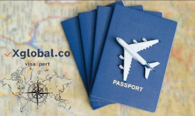 vXglobal.co: Revolutionizing Immigration Services with Integrity and Success