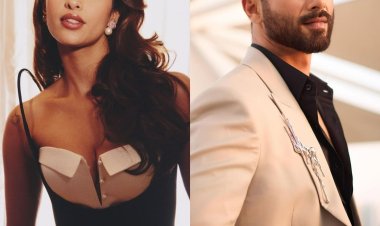 After Animal, Triptii Dimri to End 2024 on a Blockbuster Note with Vishal Bhardwaj’s Arjun Ustara Alongside Shahid Kapoor