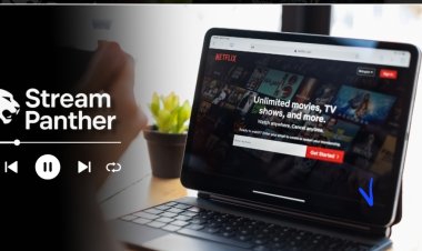 What Secrets Are Streaming Stars Spilling on The Stream Panther ?